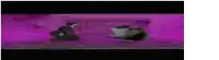 a couple of birds are standing next to each other on a purple surface .