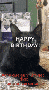 a black cat laying on the floor with the words happy birthday written above it