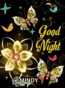 good night butterfly sweet dreams