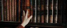 Library Study GIF - Library Study GIFs