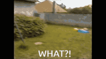 a blurred image of a backyard with the words what written in white letters