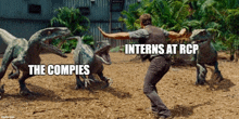 a picture of a man running from dinosaurs with the caption interns at rcp