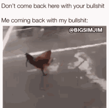 Bullshit Chicken GIF