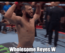 Dominick Reyes Dustin Jacoby GIF