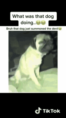 Demon Dog GIF - Demon Dog Sleep GIFs