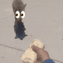 a person is feeding a dog a tortilla with cartoon eyes on it
