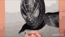 Drawing Spiderman GIF - Drawing Spiderman GIFs