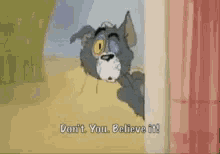 Tom And Jerry Dont You Believe It GIF