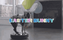 Easter Bunny Funny Animals GIF - Easter Bunny Funny Animals Dogs GIFs