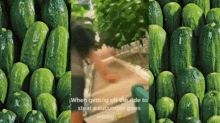 Cucumber Lady Living With The Land GIF - Cucumber Lady Living With The Land GIFs