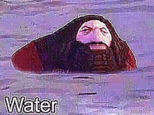 Water Hagrid GIF - Water Hagrid GIFs