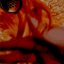 Blood Hand GIF - Blood Hand Of GIFs