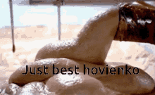 a picture of a snake with the words just best hovienko