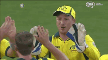 High-ive Goes Horribly Wrong GIF - Cricket High Five GIFs