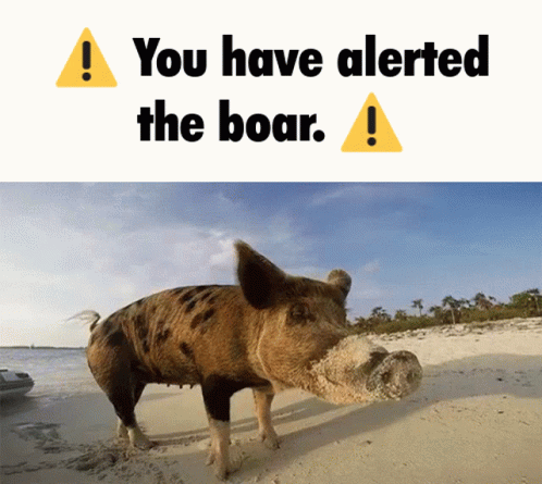 Boar Boars GIF - Boar Boars You Have Alerted The Horse GIFs