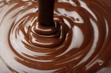 Chocolaye GIF - Chocolate GIFs