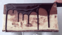 Chocolate GIF - Cake Mousse Chocolate GIFs