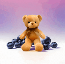 a brown teddy bear is surrounded by blueberries on a white surface
