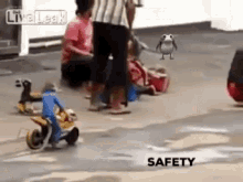 Safety First Pads GIF - Safety First Pads Padi GIFs