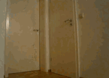 Ingenuity GIF - Snakes Scary Wtf GIFs