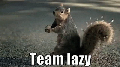 Lazy Team Lazy GIF - Lazy Team Lazy Squirrel - Discover & Share GIFs