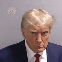 Trump Mugshot GIF - Trump Mugshot GIFs