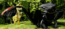 toothless and hiccup from how to train your dragon are standing next to each other in the jungle .