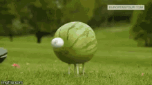 Watermelon Smash - Golf GIF