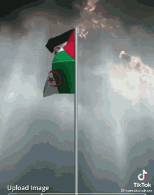 Sahara Occidental Western Sahara GIF