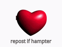 Hampter Hamster GIF - Hampter Hamster Hammy GIFs