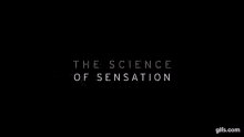 sensation science