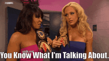 Wwe Michelle Mccool GIF - Wwe Michelle Mccool You Know What Im Talking About GIFs