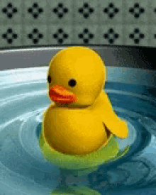 bath swimming water duck