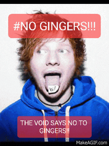 Void Kincord Ed Sheeran GIF - Void Kincord Ed Sheeran Ginger GIFs