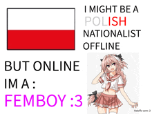 a poster that says i might be a polish nationalist offline but online im a femboy
