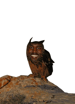 Owl Smiling Sticker