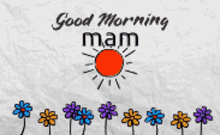 Mam Good Morning GIF - Mam Good Morning Good Day GIFs