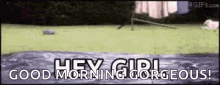 Sup Hows It Going GIF - Sup Hows It Going Hey Girl GIFs