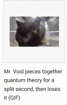 Mr Void Black Cat GIF - Mr Void Black Cat Quantum Theory GIFs
