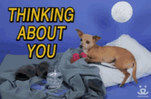 Thinking About GIF - Thinking About You GIFs