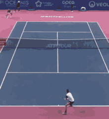 damir dzumhur tennis drop shot fail atp