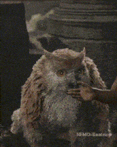 Owlbear Owlbear Cub GIF - Owlbear Owlbear Cub Baldur'S Gate GIFs