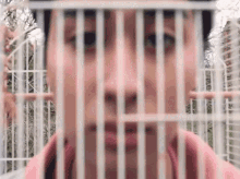 Caged Soran Dussaigne GIF - Caged Soran Dussaigne Fix This Song GIFs