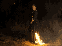 Portrait Of A Lady On Fire Bonfire GIF - Portrait Of A Lady On Fire Bonfire GIFs