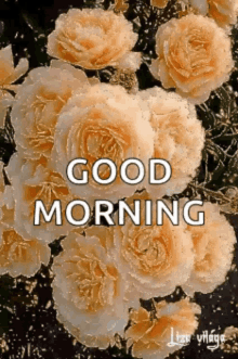 Good Morning Rollygifs GIF - Good Morning Rollygifs Happy Day GIFs
