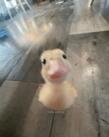 a baby duck is standing on a tiled floor looking up at the camera .