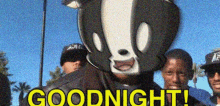 Goodnight Panda GIF