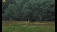 Monty Python Monty Python And The Holy Grail GIF - Monty Python Monty Python And The Holy Grail John Cleese GIFs