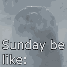 Sundays Be Like Scott Kelly GIF - Sundays Be Like Scott Kelly Space GIFs