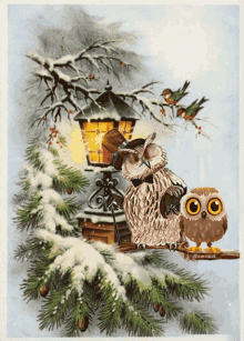 Snow Dance Owl GIF - Snow Dance Owl Twinkle GIFs